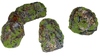small image for FGBG05