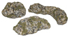 small image for FGBG06